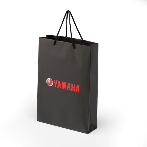 ノベルティ ペーパーバッグ１０枚セット